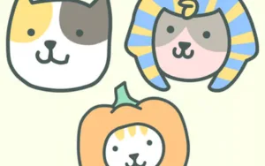 Where Is My Cat